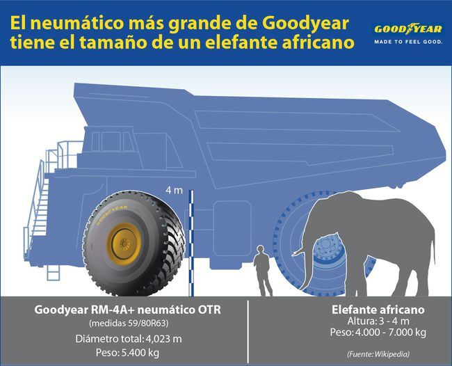Neumatico Gigante Goodyear 63 Pulgadas 5 650x526