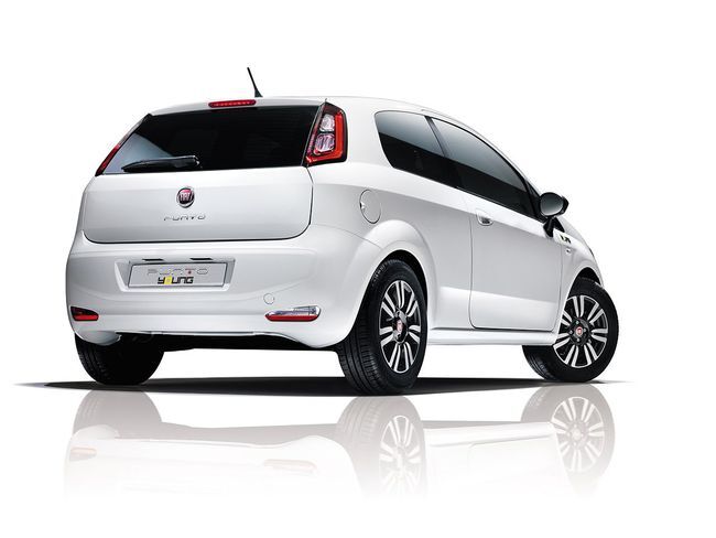 Fiat Punto Young 2014 02