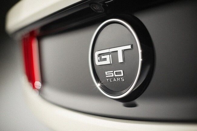 Ford Mustang 50th Edition 2014 16