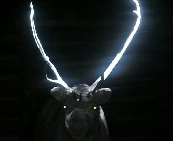 cuernos renos brillan oscuridad