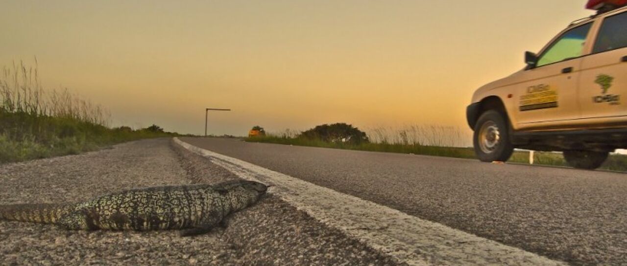 Todas las noticias de coches en un solo portal: Pruebas, fotos, vídeos, informes...