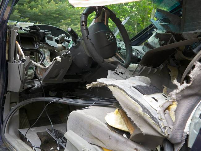 ataque oso a un coche 03