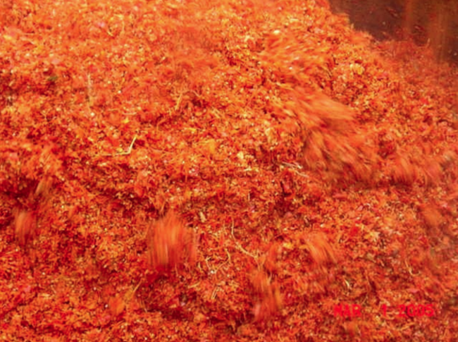 Ford residuos tomates