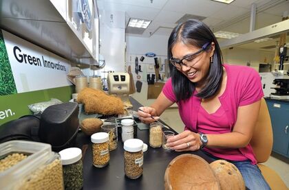 Coches fabricados con tomates, la última idea de Ford