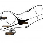 AstaZero Volvo 15 150x150