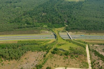 Diez increíbles pasos de fauna en las carreteras