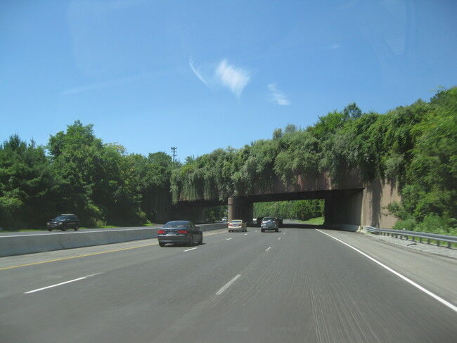 Interstate_78_-_New_Jersey_Watchung_Reservation