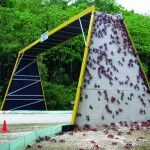 Tumblr Mh1lm4qImV1qzn97uo1 1280 150x150