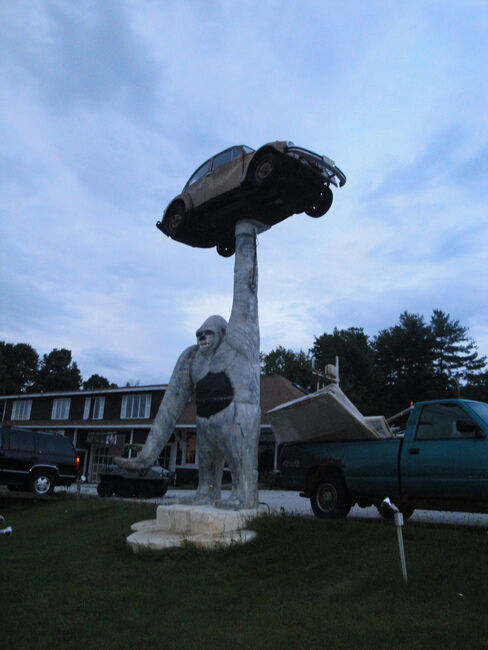 Gorilla Holding a VW Bug - Leicester, Vermont