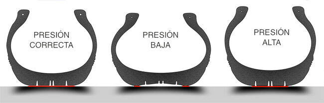 presiones nematicos