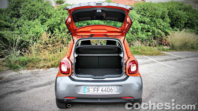 smart_forfour_42