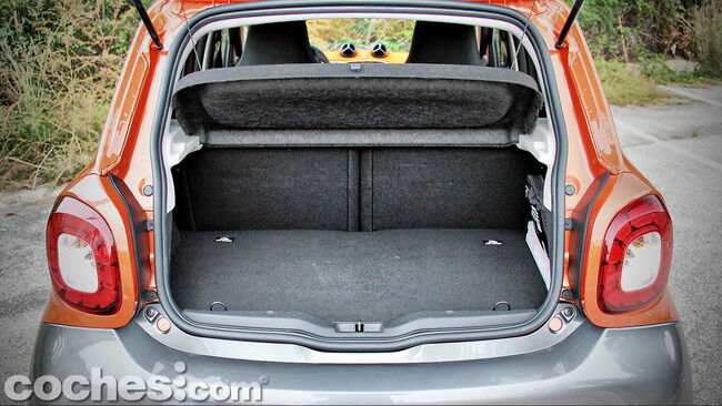 smart_forfour_43