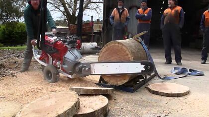 Motosierras V8: el entretenimiento australiano