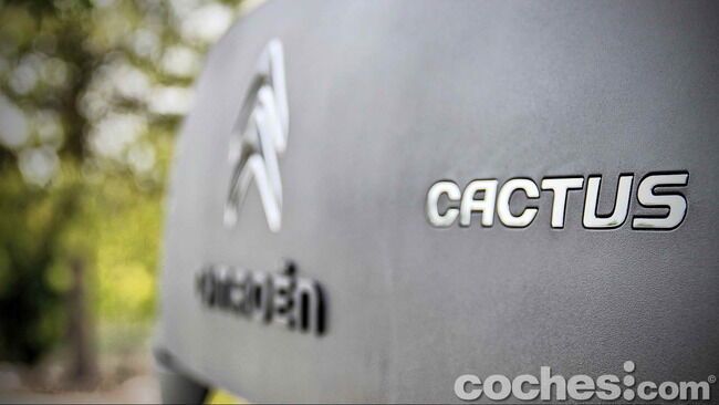 Citroën_C4_Cactus_33