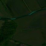 Carril Bici Van Gogh Roosegaarde 02 150x150