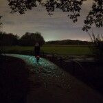 Carril Bici Van Gogh Roosegaarde 04 150x150