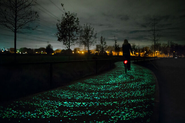 Carril bici Van Gogh Roosegaarde 12