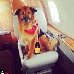 11008284 1545797739033936 1737209773 N 150x150