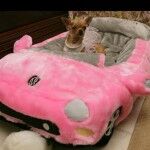 2053c14fc55fb1c5120f9c1cd55fdaa7 150x150