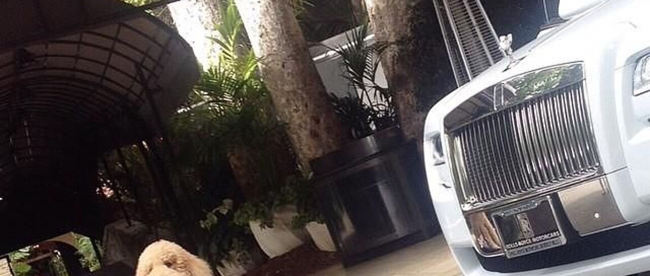 Todas las noticias de coches en un solo portal: Pruebas, fotos, vídeos, informes...