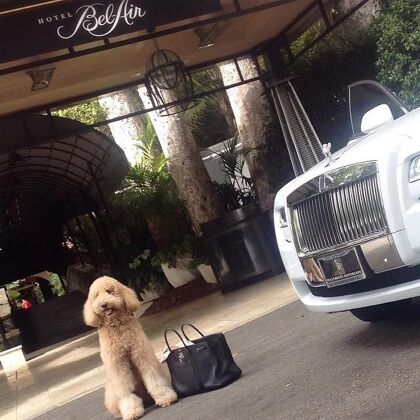 Mi perro tiene un coche de lujo (y lo enseño en Instagram)