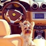 B85e26f56c00769659b3f3c0e9d3c7b4 150x150