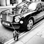 F353b7d540c5599e7d0623fffa022134 150x150