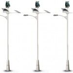 IluminacióN Calles Renovables 150x150