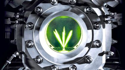 Alemania combate contra la prohibición de 2035 con los combustibles sintéticos como argumento