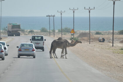 ¿Sabes cuándo tienes la preferencia en la carretera?