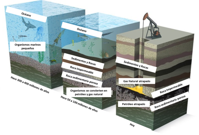 Esquema-de-Formación-de-Petróleo-y-Gas-Natural