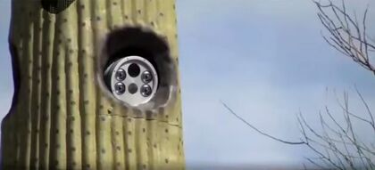 Lo que faltaba: insertan radares dentro de cactus falsos