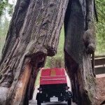 Caravana Barca14 150x150