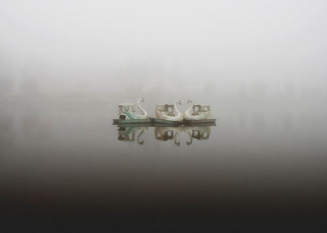 mundo fantasma-flickr