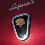 Jaguar XK120 SuperSonic By Ghia 1953 Detalle 08 150x150