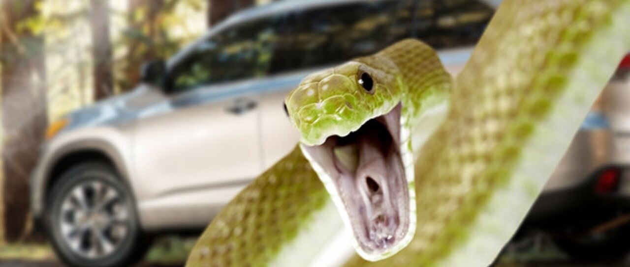 Todas las noticias de coches en un solo portal: Pruebas, fotos, vídeos, informes...