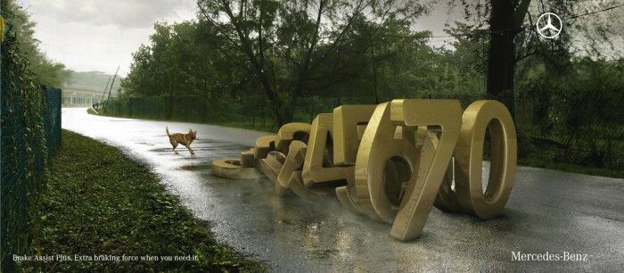 mercedes brake assist plus perro