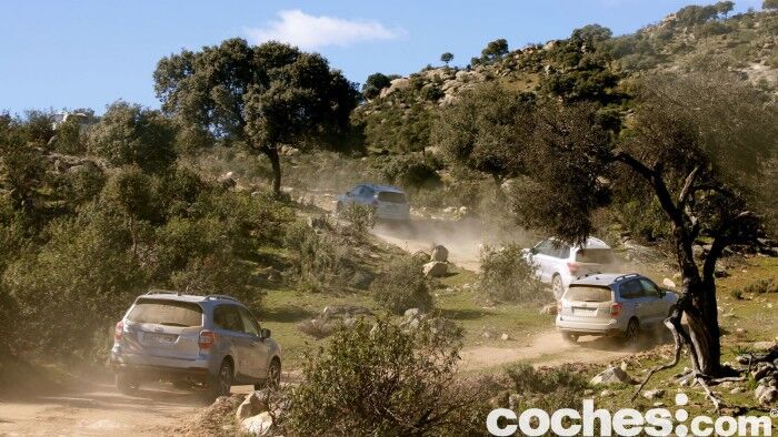 Subaru Forester 2.D Lineartronic 2015 16