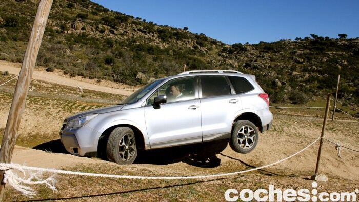 Subaru Forester 2.D Lineartronic 2015 20