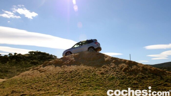 Subaru Forester 2.D Lineartronic 2015 32