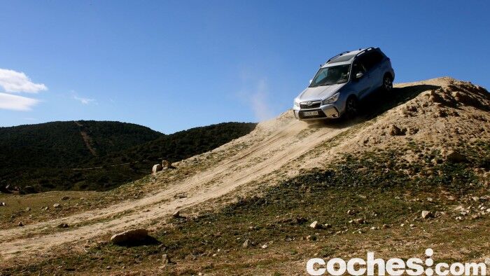 Subaru Forester 2.D Lineartronic 2015 35