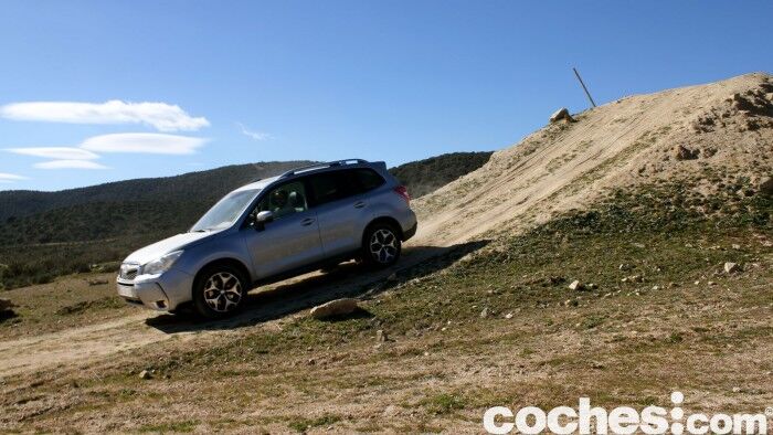 Subaru Forester 2.D Lineartronic 2015 37