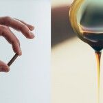 Bio Bean Biodiesel Cafe 03 150x150