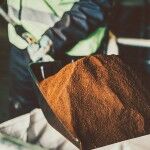 Bio Bean Biodiesel Cafe 04 150x150