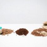 Bio Bean Biodiesel Cafe 150x150