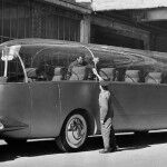 El DelfíN Dorado De Viberti 01 150x150