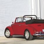 Beetle Paul Newman 1 150x150