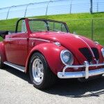 Beetle Paul Newman 2 150x150