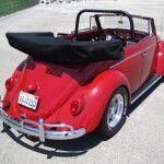 Beetle Paul Newman 3 150x150
