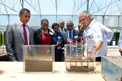 Coalgae: el crudo del futuro es de algas y polvo de carbón